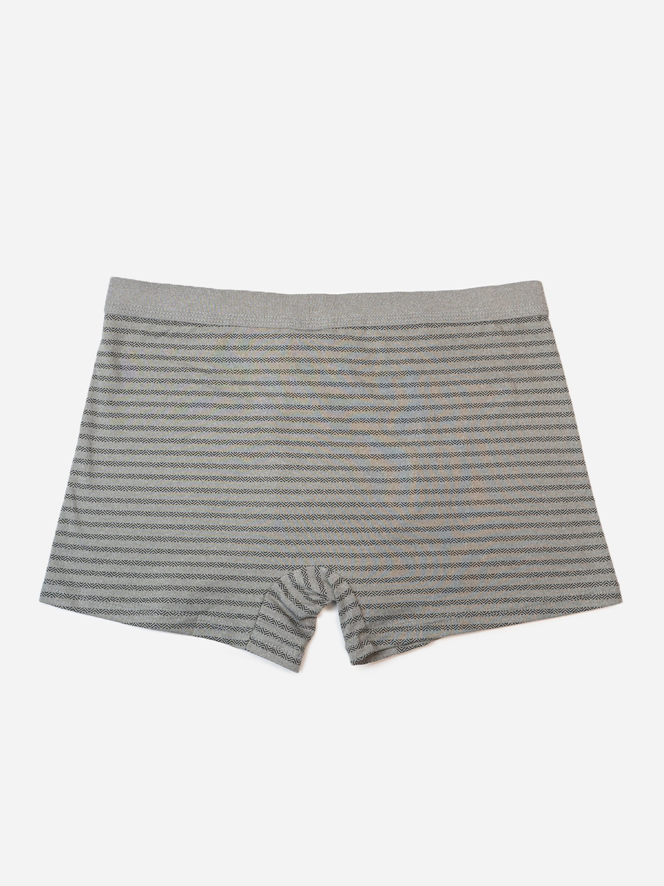 Трусы ISSA Plus модель GN5-236_серый Трусы ISSA Plus модель GN5-236_серый Фото