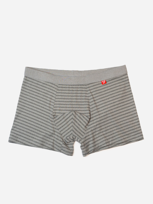 Труси ISSA Plus модель GN5-236_серый Фото