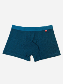 Трусы ISSA Plus модель GN5-237_зеленый Фото