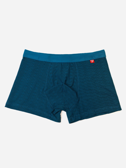 Труси ISSA Plus модель GN5-237_зеленый Фото