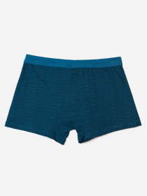 Трусы ISSA Plus модель GN5-237_зеленый Трусы ISSA Plus модель GN5-237_зеленый Фото