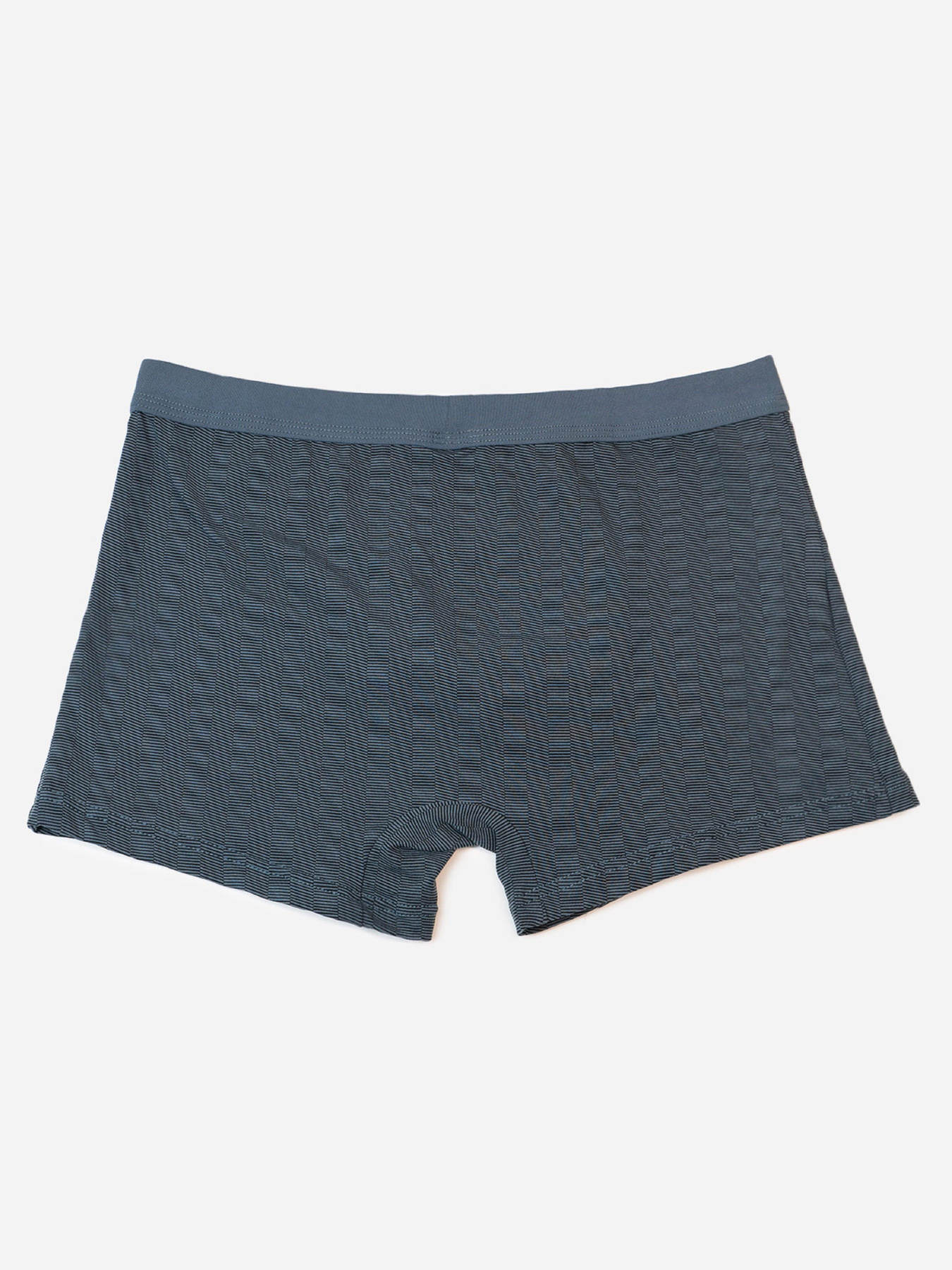 Трусы ISSA Plus модель GN5-237_темно_серый Фото