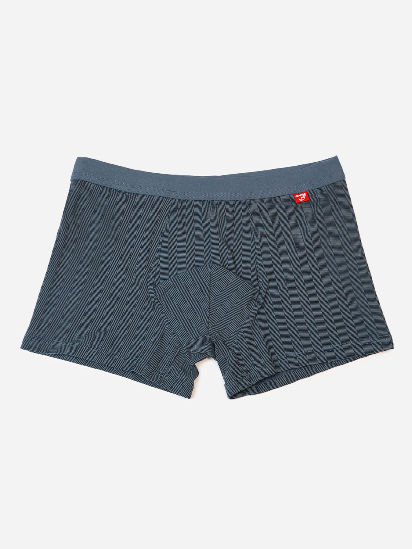 Трусы ISSA Plus модель GN5-237_темно_серый Фото