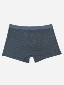 Трусы ISSA Plus модель GN5-237_темно_серый Фото