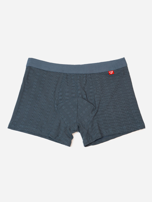 Трусы ISSA Plus модель GN5-237_темно_серый Фото