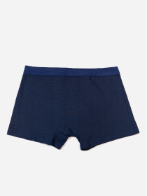 Трусы ISSA Plus модель GN5-237_темно_синий Фото