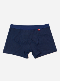 Трусы ISSA Plus модель GN5-237_темно_синий Фото