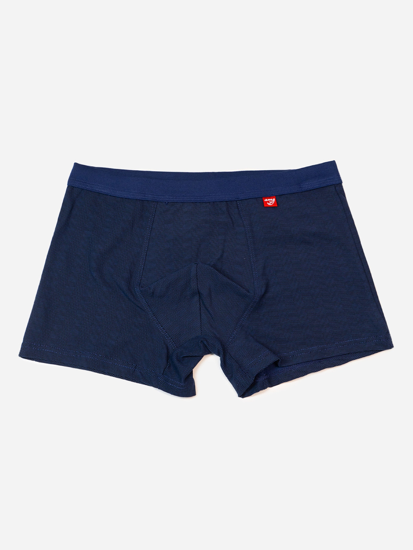 Трусы ISSA Plus модель GN5-237_темно_синий Трусы ISSA Plus модель GN5-237_темно_синий Фото