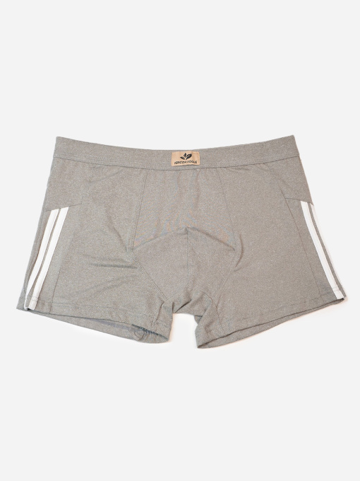 Труси ISSA Plus модель GN5-238_серый Фото