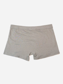 Трусы ISSA Plus модель GN5-238_серый Трусы ISSA Plus модель GN5-238_серый Фото