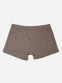 Труси ISSA Plus модель GN5-238_коричневый Фото