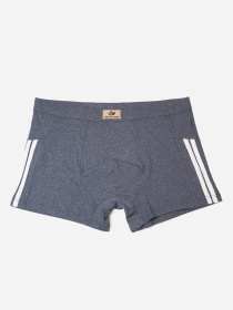 Трусы ISSA Plus модель GN5-238_темно_серый Трусы ISSA Plus модель GN5-238_темно_серый Фото