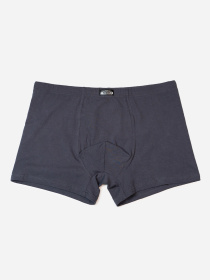 Трусы ISSA Plus модель GN5-240_темно_серый Фото