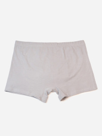 Трусы ISSA Plus модель GN5-240_серый Фото