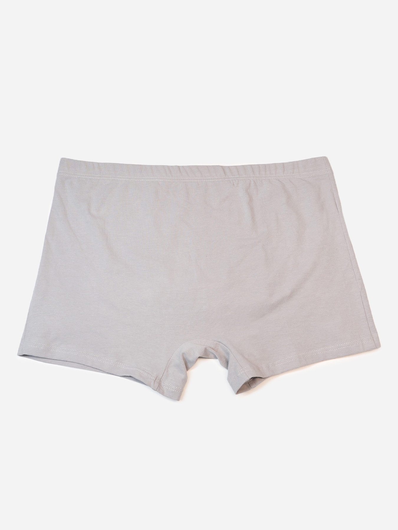 Трусы ISSA Plus модель GN5-240_серый Фото