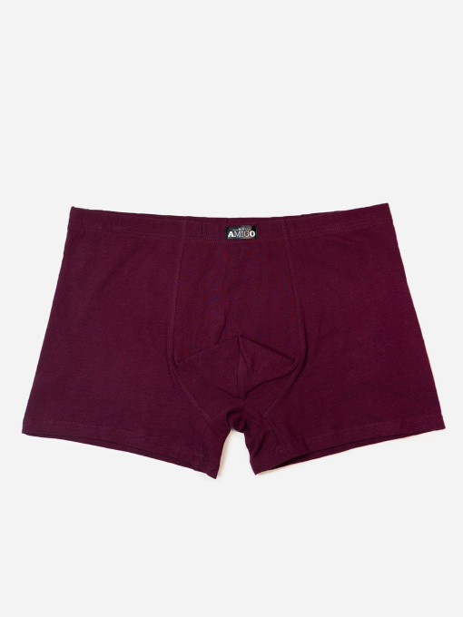 Труси ISSA Plus модель GN5-240_бордовый Фото