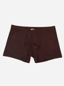 Труси ISSA Plus модель GN5-240_коричневый Фото