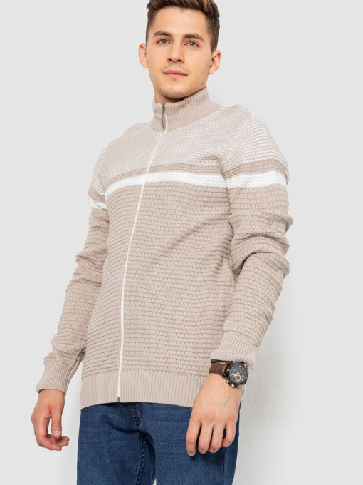 Кофта чоловіча повсякденна на блискавці 247R1918 модель У-1130613::000000023 Фото