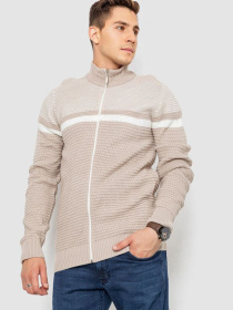 Кофта чоловіча повсякденна на блискавці 247R1918 модель У-1130613::000000023 Фото