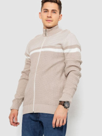 Кофта чоловіча повсякденна на блискавці 247R1918 модель У-1130613::000000023 Фото