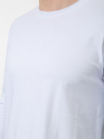 Лонгслив Ager модель У-1129485::000000014 Фото