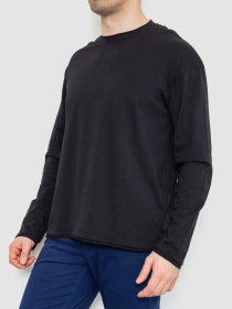 Лонгслив Ager модель У-1129485::000000096 Фото