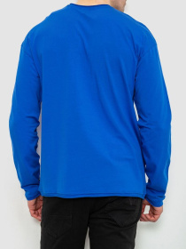 Лонгслів Ager модель У-1129485::000000254 Фото