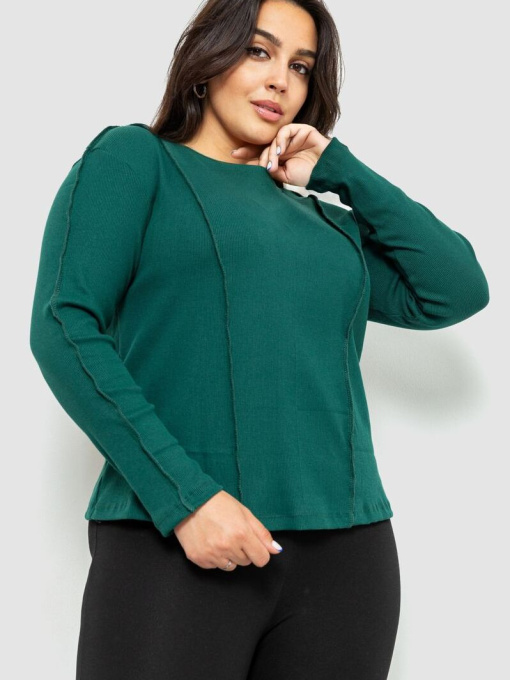 Лонгслів Ager Модель У-1124637::000000040 Фото