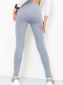 Легінси Ager модель У-1121084::000000069 Фото