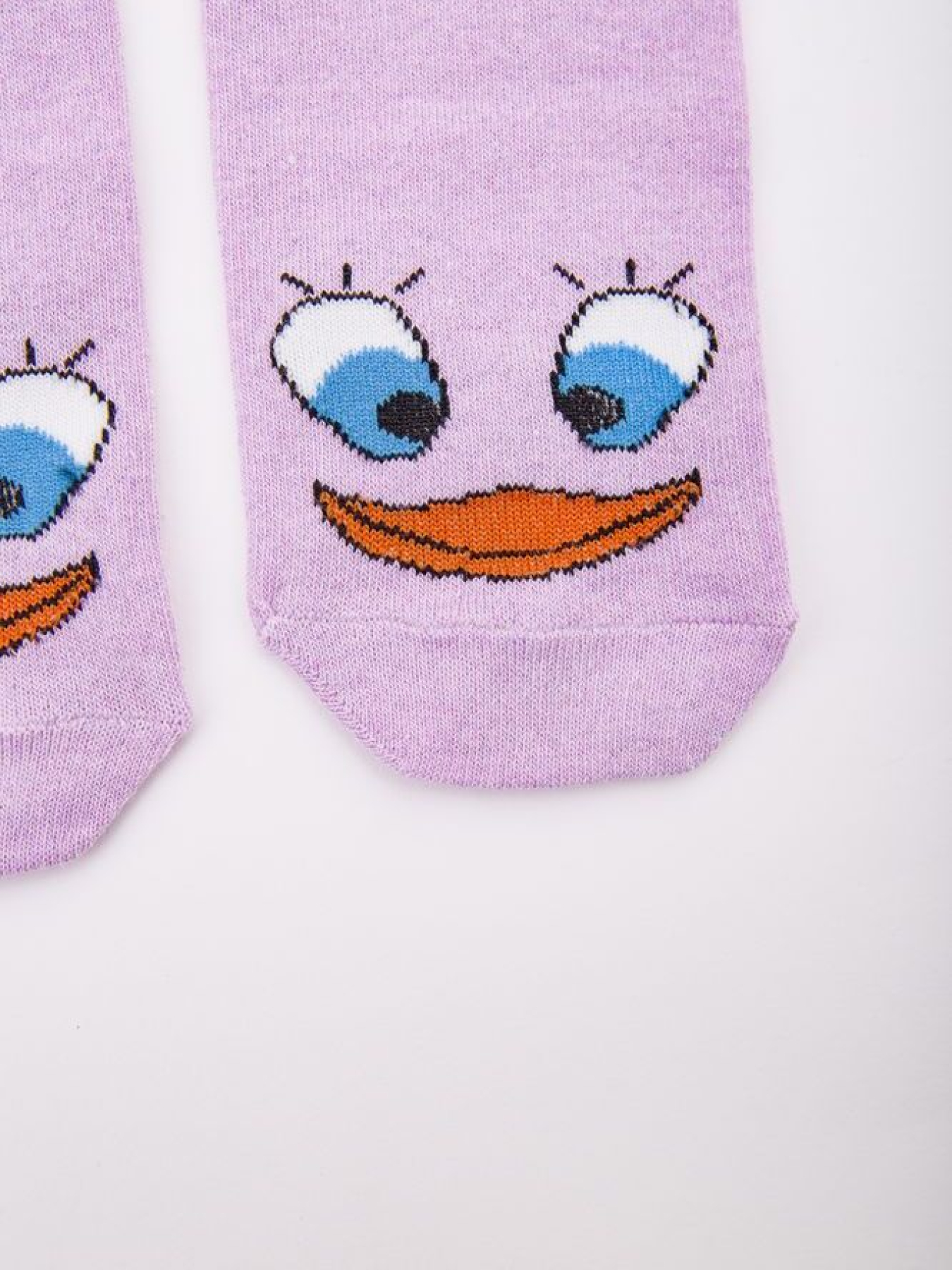 Шкарпетки Ager модель У-1119894::000000086 Фото