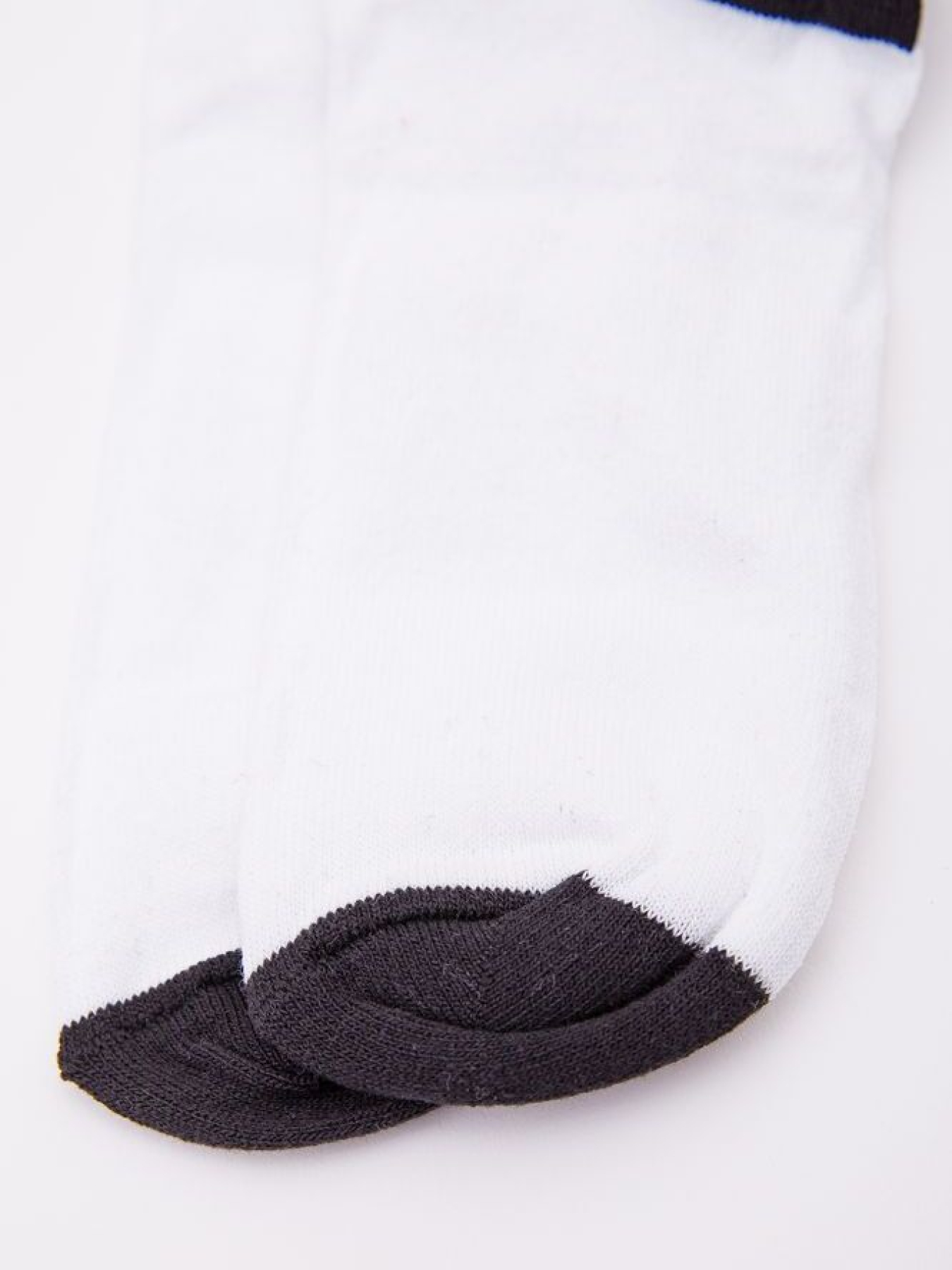 Шкарпетки Ager модель У-1119891::000000014 Фото