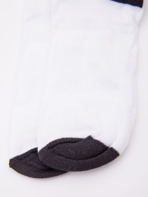 Шкарпетки Ager модель У-1119891::000000014 Фото