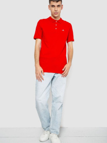 Поло Ager модель У-1130674::000000050 Фото