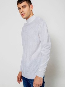 Водолазка Ager модель У-1130608::000000014 Фото