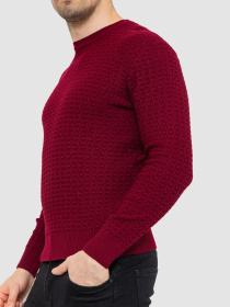 Свитер мужской 214R04024 модель У-1126555::000000029 Фото