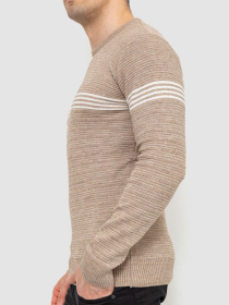 Свитер мужской 214R103 модель У-1126607::000000023 Фото