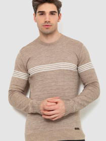 Свитер мужской 214R103 модель У-1126607::000000023 Фото