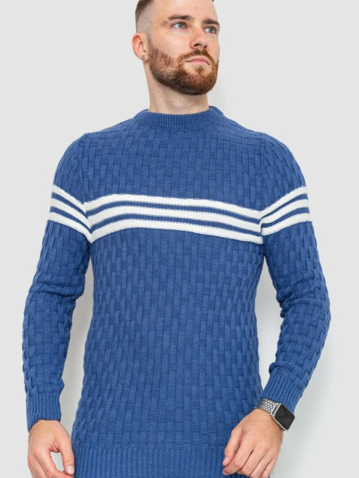 Свитер мужской 229R2029 модель У-1126153::У-0002878 Фото