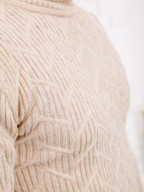 Свитер Ager модель У-1119633::000000023 Фото