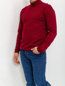 Водолазка Ager модель У-1121401::000000029 Фото