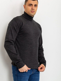 Водолазка Ager модель У-1121401::000000205 Фото