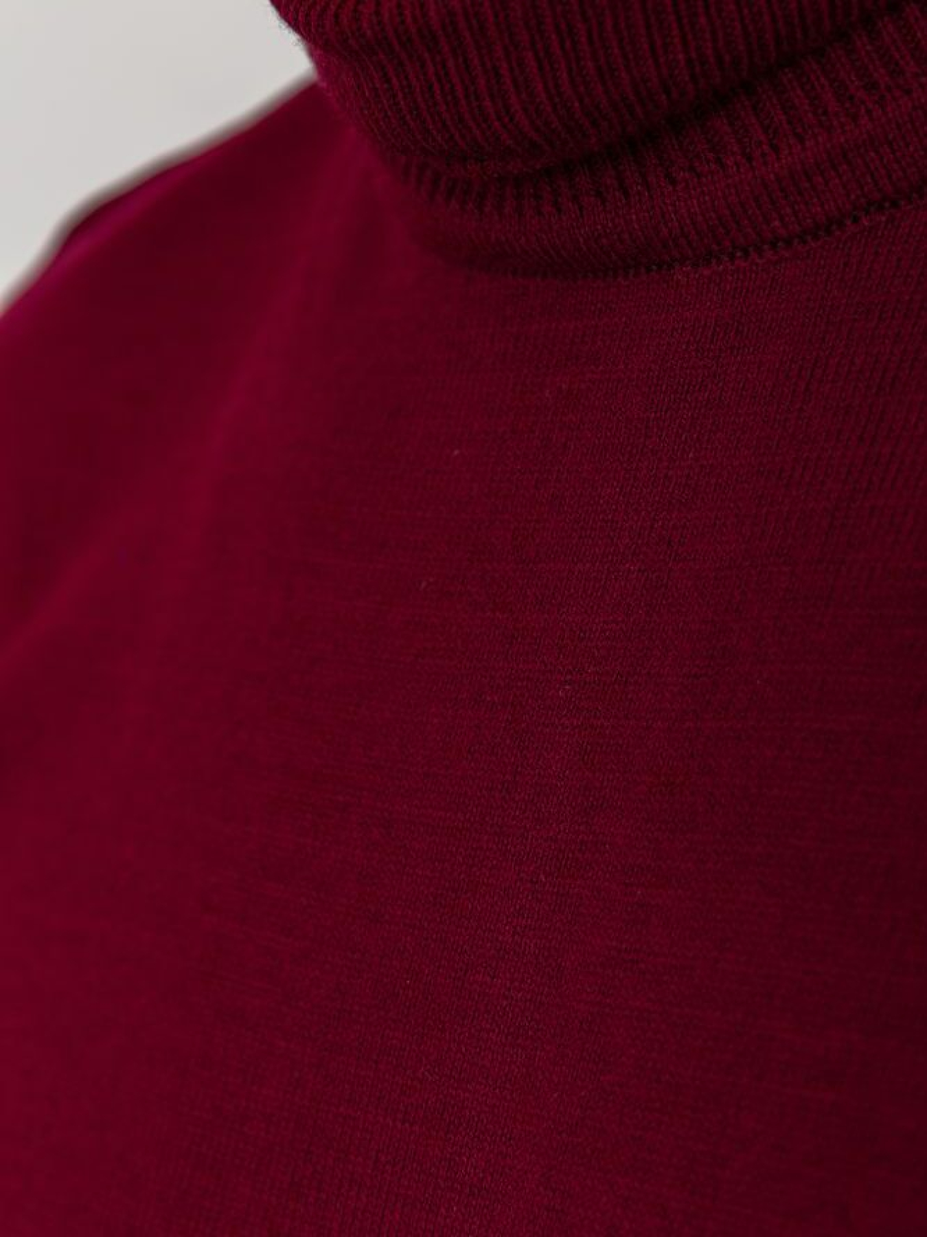 Водолазка Ager модель У-1121399::000000029 Фото