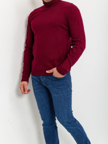 Водолазка Ager модель У-1121399::000000029 Фото