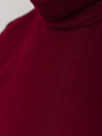 Водолазка Ager модель У-1121399::000000029 Фото