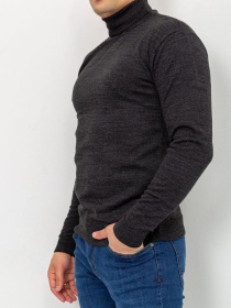 Водолазка Ager модель У-1121399::000000205 Фото