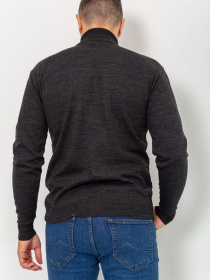 Водолазка Ager модель У-1121399::000000205 Фото