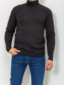 Водолазка Ager модель У-1121399::000000205 Фото