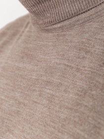 Водолазка Ager модель У-1121399::У-0000141 Фото