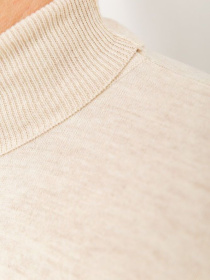 Водолазка Ager модель У-1121399::010001505 Водолазка Ager модель У-1121399::010001505 Фото