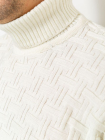 Свитер Ager модель У-1119412::000000014 Фото